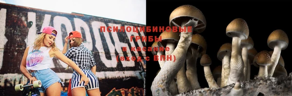 ешки Алзамай