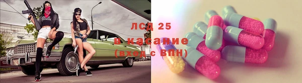 прущие грибы Алексеевка