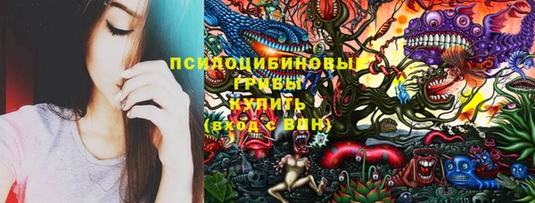 МДПВ Алексин