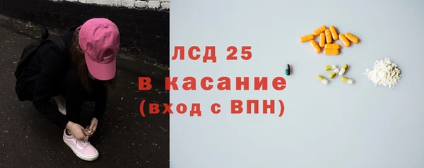 прущие грибы Алексеевка