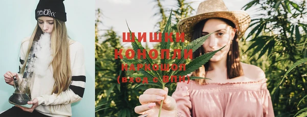 PSILOCYBIN Белая Калитва